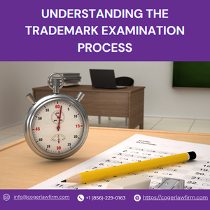 Understanding the Trademark Examination Process